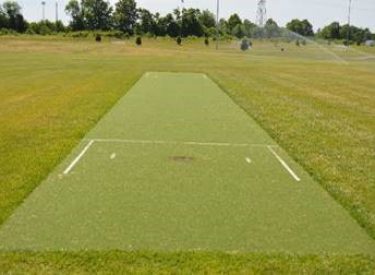 CRICKET PITCH